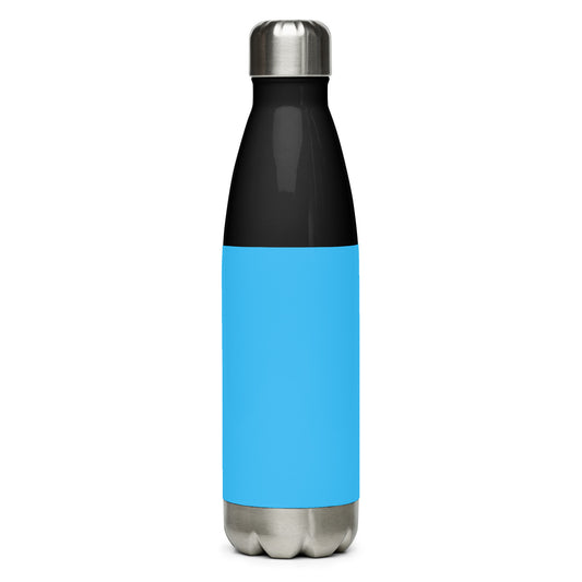 Stainless steel water bottle